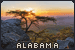  Alabama