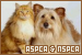 ASPCA and NSPCA